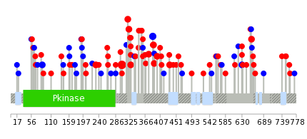 We used uniprot protein structure data from ensemble BioMart database. The size of circle shows the relative mutation number.