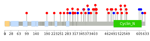 We used uniprot protein structure data from ensemble BioMart database. The size of circle shows the relative mutation number.