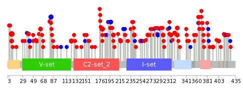 We used uniprot protein structure data from ensemble BioMart database. The size of circle shows the relative mutation number.