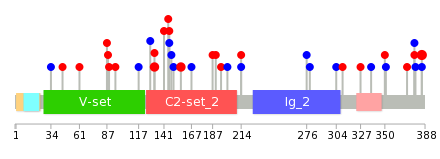 We used uniprot protein structure data from ensemble BioMart database. The size of circle shows the relative mutation number.