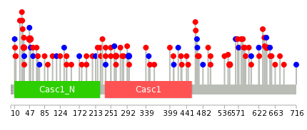 We used uniprot protein structure data from ensemble BioMart database. The size of circle shows the relative mutation number.