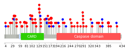 We used uniprot protein structure data from ensemble BioMart database. The size of circle shows the relative mutation number.