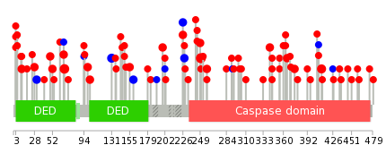 We used uniprot protein structure data from ensemble BioMart database. The size of circle shows the relative mutation number.