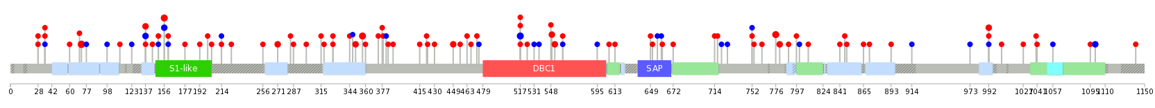 We used uniprot protein structure data from ensemble BioMart database. The size of circle shows the relative mutation number.