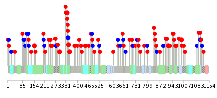 We used uniprot protein structure data from ensemble BioMart database. The size of circle shows the relative mutation number.