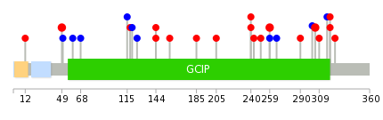 We used uniprot protein structure data from ensemble BioMart database. The size of circle shows the relative mutation number.