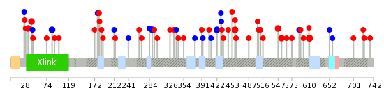 We used uniprot protein structure data from ensemble BioMart database. The size of circle shows the relative mutation number.