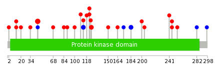 We used uniprot protein structure data from ensemble BioMart database. The size of circle shows the relative mutation number.