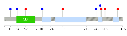 We used uniprot protein structure data from ensemble BioMart database. The size of circle shows the relative mutation number.