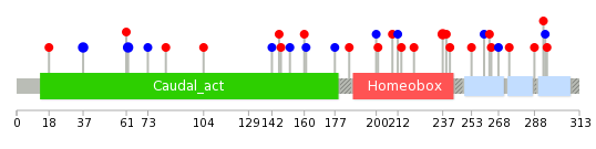 We used uniprot protein structure data from ensemble BioMart database. The size of circle shows the relative mutation number.