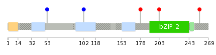 We used uniprot protein structure data from ensemble BioMart database. The size of circle shows the relative mutation number.