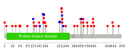 We used uniprot protein structure data from ensemble BioMart database. The size of circle shows the relative mutation number.