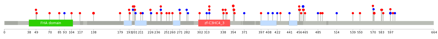 We used uniprot protein structure data from ensemble BioMart database. The size of circle shows the relative mutation number.