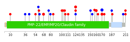 We used uniprot protein structure data from ensemble BioMart database. The size of circle shows the relative mutation number.