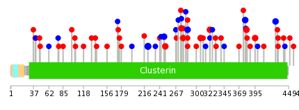 We used uniprot protein structure data from ensemble BioMart database. The size of circle shows the relative mutation number.