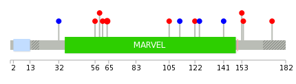 We used uniprot protein structure data from ensemble BioMart database. The size of circle shows the relative mutation number.