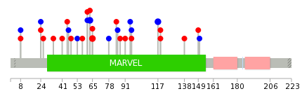 We used uniprot protein structure data from ensemble BioMart database. The size of circle shows the relative mutation number.