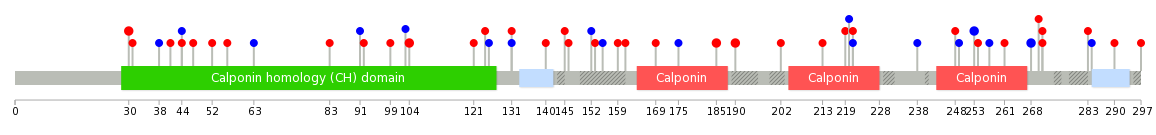 We used uniprot protein structure data from ensemble BioMart database. The size of circle shows the relative mutation number.