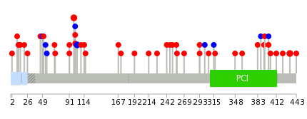 We used uniprot protein structure data from ensemble BioMart database. The size of circle shows the relative mutation number.