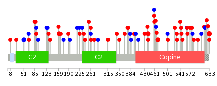 We used uniprot protein structure data from ensemble BioMart database. The size of circle shows the relative mutation number.