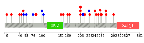 We used uniprot protein structure data from ensemble BioMart database. The size of circle shows the relative mutation number.