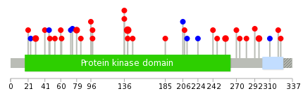 We used uniprot protein structure data from ensemble BioMart database. The size of circle shows the relative mutation number.