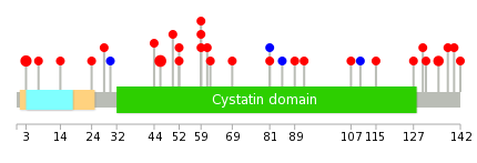 We used uniprot protein structure data from ensemble BioMart database. The size of circle shows the relative mutation number.