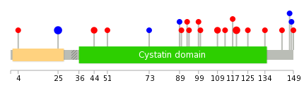 We used uniprot protein structure data from ensemble BioMart database. The size of circle shows the relative mutation number.