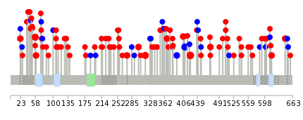 We used uniprot protein structure data from ensemble BioMart database. The size of circle shows the relative mutation number.