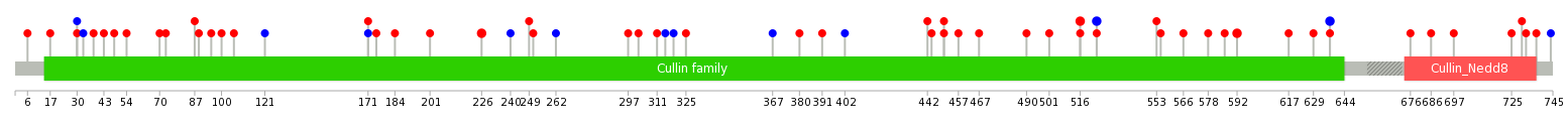 We used uniprot protein structure data from ensemble BioMart database. The size of circle shows the relative mutation number.