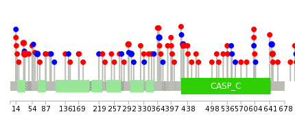 We used uniprot protein structure data from ensemble BioMart database. The size of circle shows the relative mutation number.