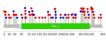 We used uniprot protein structure data from ensemble BioMart database. The size of circle shows the relative mutation number.