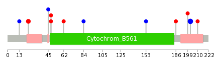 We used uniprot protein structure data from ensemble BioMart database. The size of circle shows the relative mutation number.