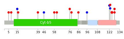 We used uniprot protein structure data from ensemble BioMart database. The size of circle shows the relative mutation number.