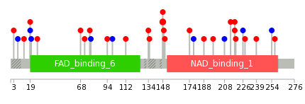 We used uniprot protein structure data from ensemble BioMart database. The size of circle shows the relative mutation number.