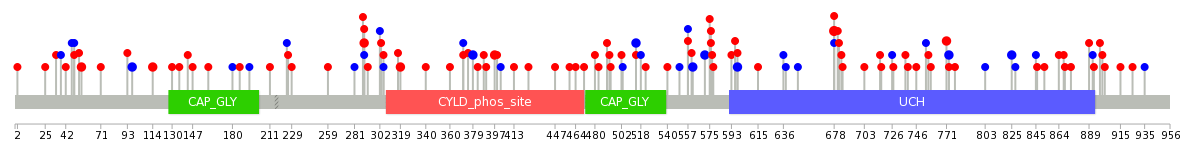 We used uniprot protein structure data from ensemble BioMart database. The size of circle shows the relative mutation number.