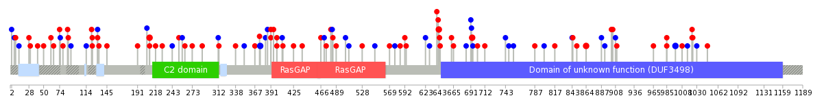 We used uniprot protein structure data from ensemble BioMart database. The size of circle shows the relative mutation number.