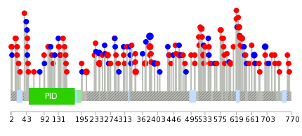 We used uniprot protein structure data from ensemble BioMart database. The size of circle shows the relative mutation number.