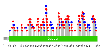 We used uniprot protein structure data from ensemble BioMart database. The size of circle shows the relative mutation number.