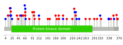 We used uniprot protein structure data from ensemble BioMart database. The size of circle shows the relative mutation number.