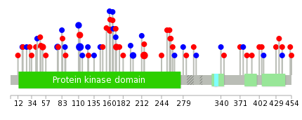 We used uniprot protein structure data from ensemble BioMart database. The size of circle shows the relative mutation number.