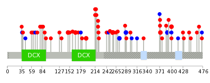 We used uniprot protein structure data from ensemble BioMart database. The size of circle shows the relative mutation number.