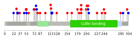 We used uniprot protein structure data from ensemble BioMart database. The size of circle shows the relative mutation number.