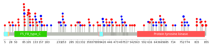 We used uniprot protein structure data from ensemble BioMart database. The size of circle shows the relative mutation number.