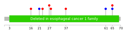 We used uniprot protein structure data from ensemble BioMart database. The size of circle shows the relative mutation number.