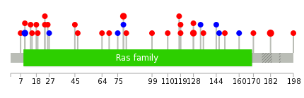 We used uniprot protein structure data from ensemble BioMart database. The size of circle shows the relative mutation number.