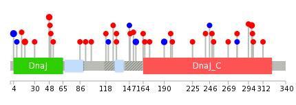 We used uniprot protein structure data from ensemble BioMart database. The size of circle shows the relative mutation number.