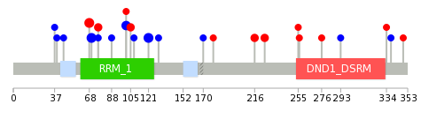 We used uniprot protein structure data from ensemble BioMart database. The size of circle shows the relative mutation number.