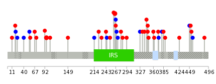 We used uniprot protein structure data from ensemble BioMart database. The size of circle shows the relative mutation number.