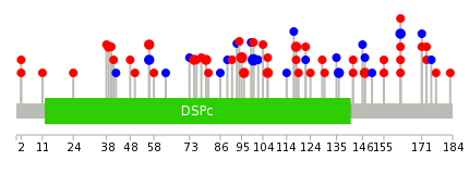 We used uniprot protein structure data from ensemble BioMart database. The size of circle shows the relative mutation number.